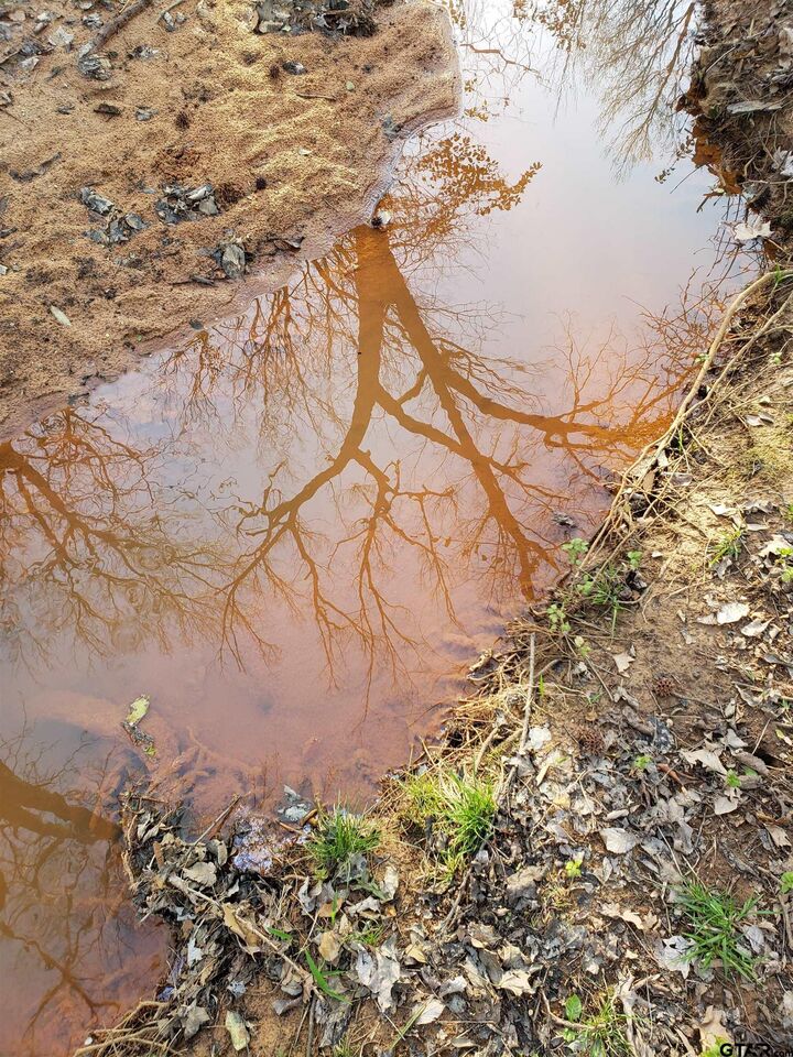 Property Photo:  20039 Cr 450  TX 75771 