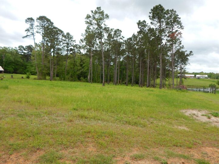 Property Photo: Tbd Cardinal Court TX 75640