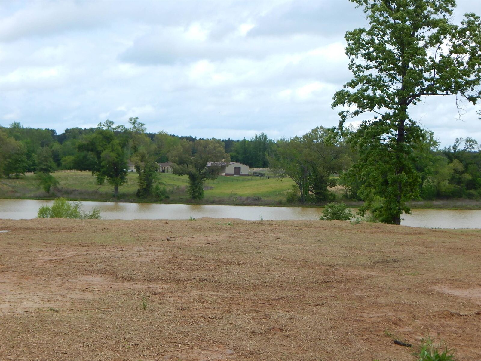 Property Photo: Tbd Cardinal Court TX 75640