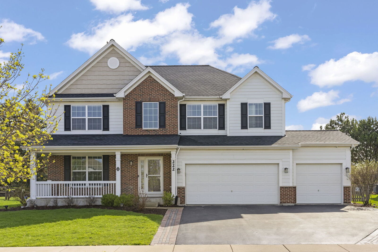 Property Photo: 222 Julep Avenue IL 60543