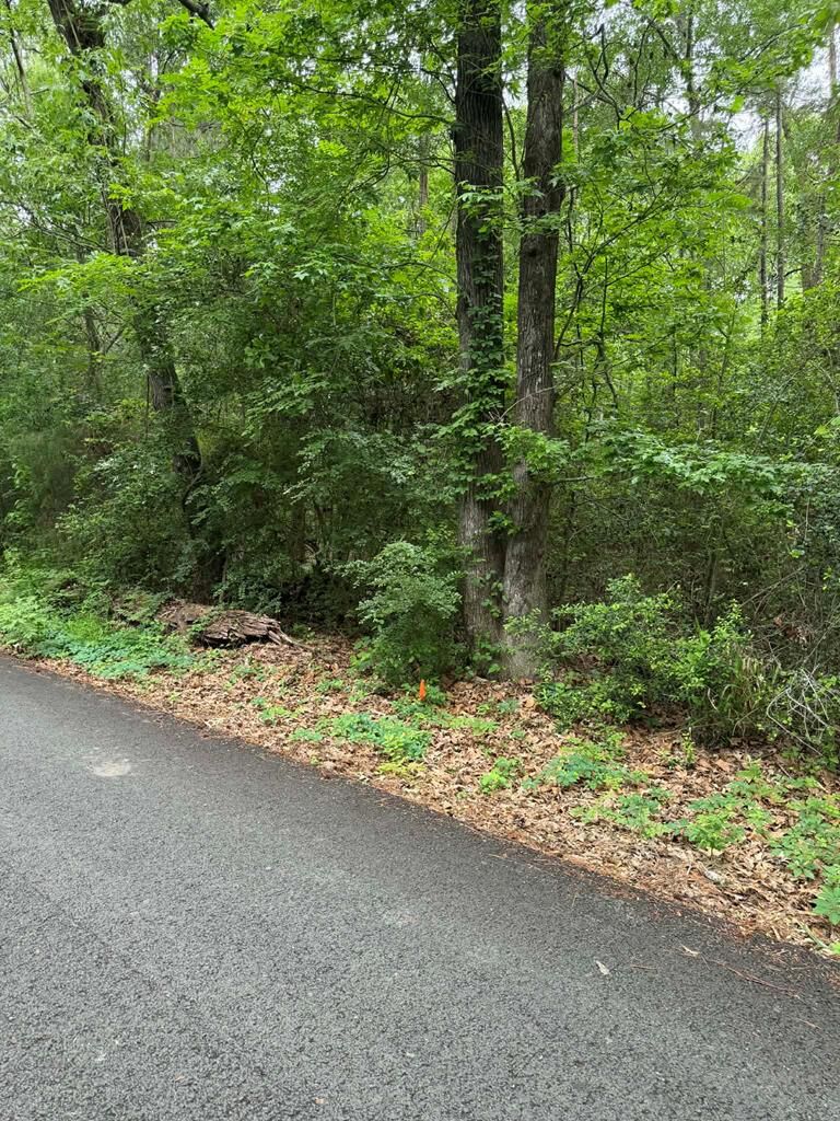 Property Photo:  Lot 3 Old Gobblers Knob Rd  TX 75901 