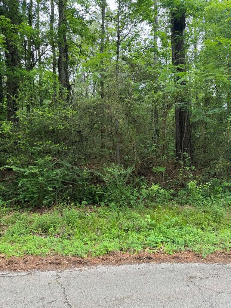 Property Photo:  Lot 6 Old Gobblers Knob Rd  TX 75901 