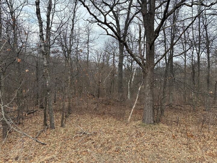 Property Photo:  Lot 25 County Rd 11  MN 56472 
