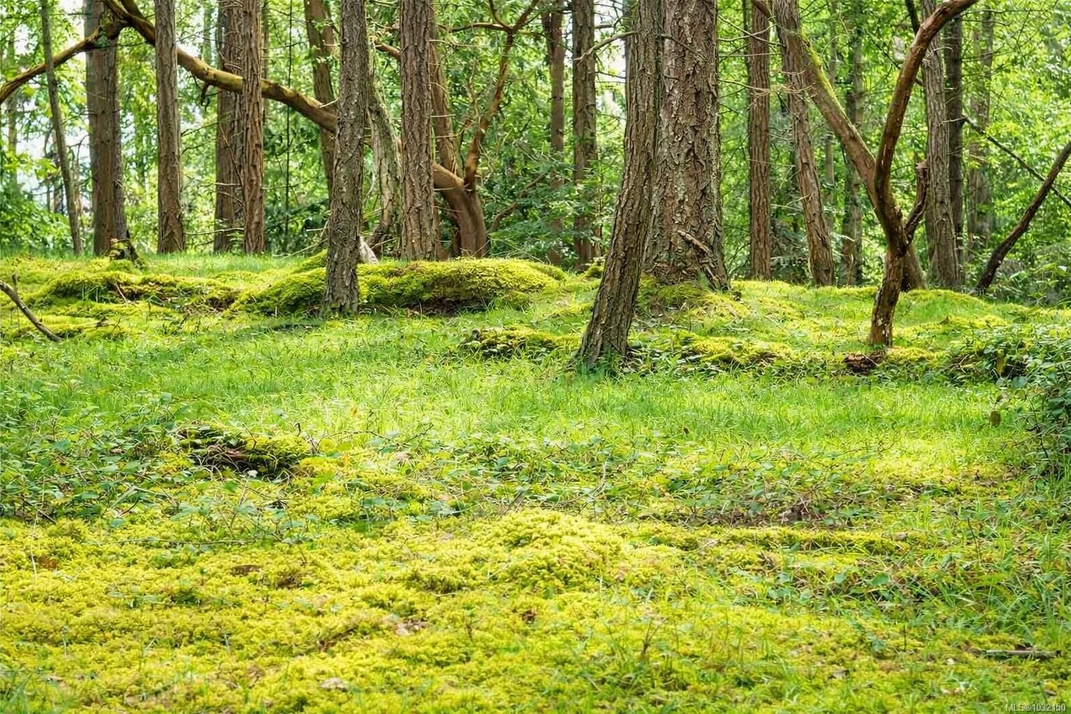 Property Photo:  Lot 88 Sockeye Dr  BC V0R 1X6 
