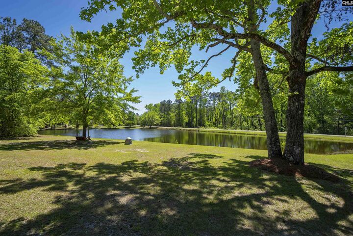 Property Photo:  540 Little Creek  SC 29070 