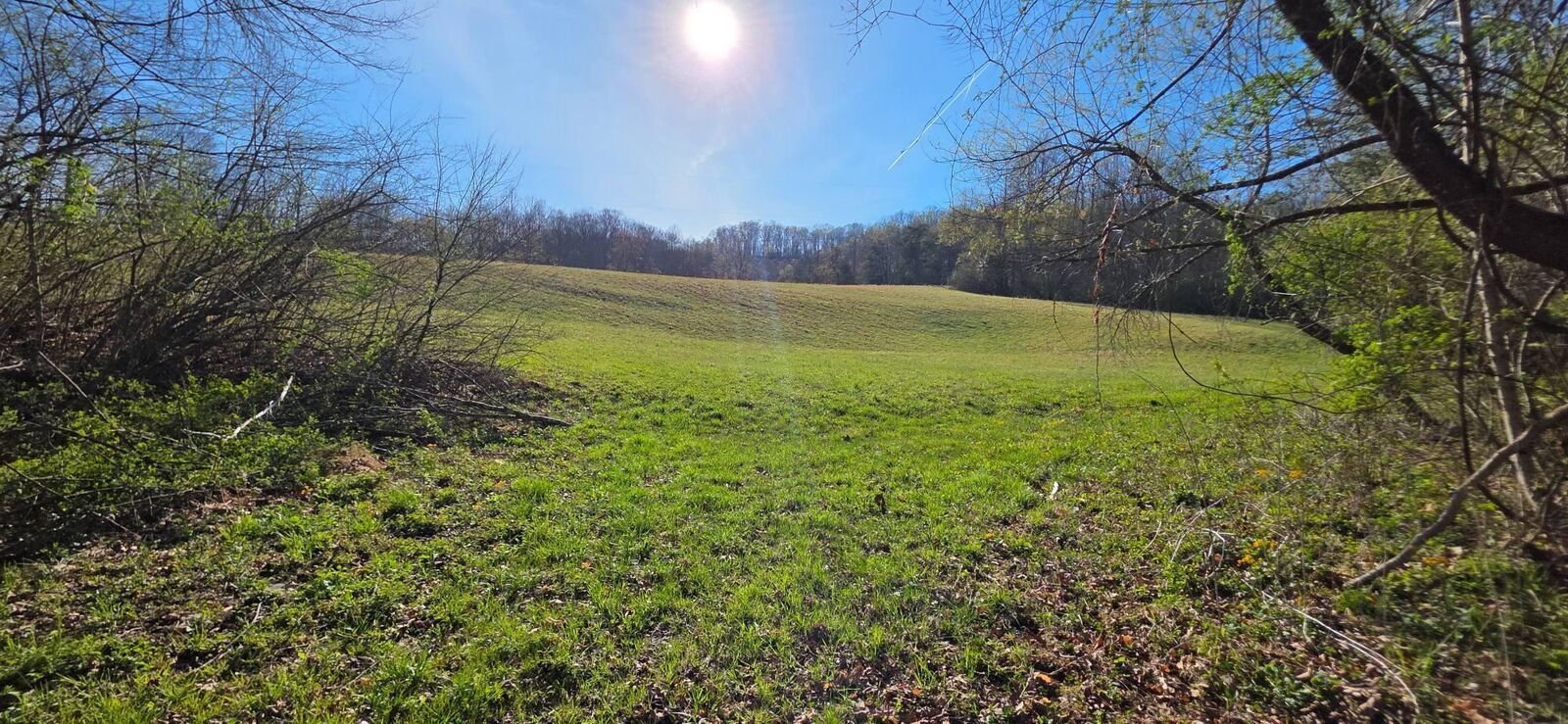 Property Photo:  917 Country Rd  WV 26651 