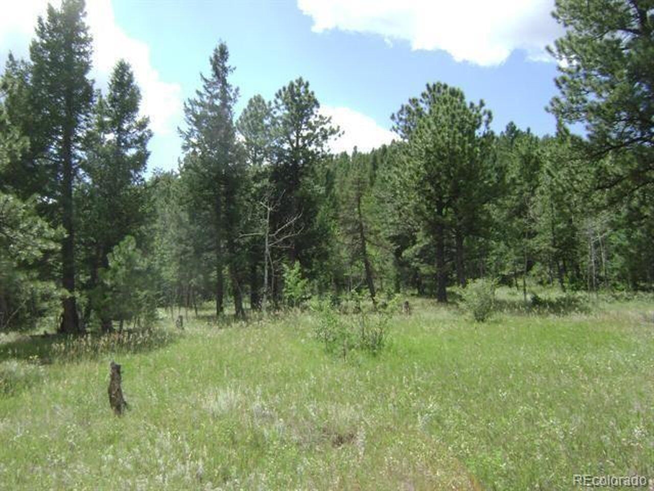 Property Photo:  1504 County Road 43  CO 80421 