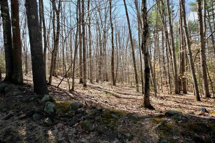 Property Photo:  111 Page Road  NH 03304 