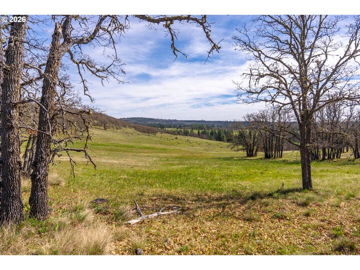 Property Photo: Piney Woods WA 98620