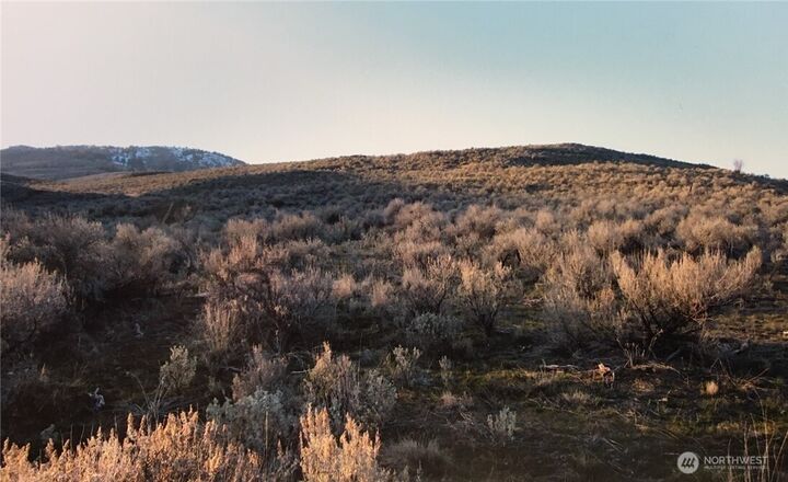 Property Photo:  338  Palmer Mountain Road  WA 98855 