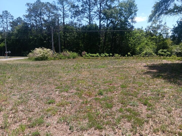 Property Photo:  0 Amber Street  GA 31750 