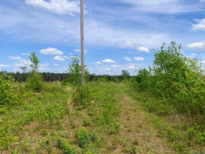 Property Photo:  000 Dallas 245  AR 71763 