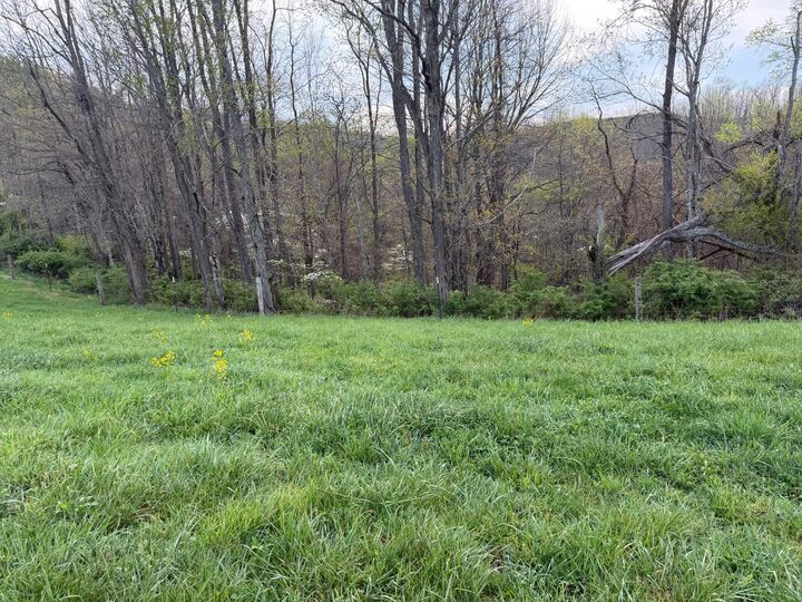 Property Photo:  1999 Snake Run Rd  WV 24910 