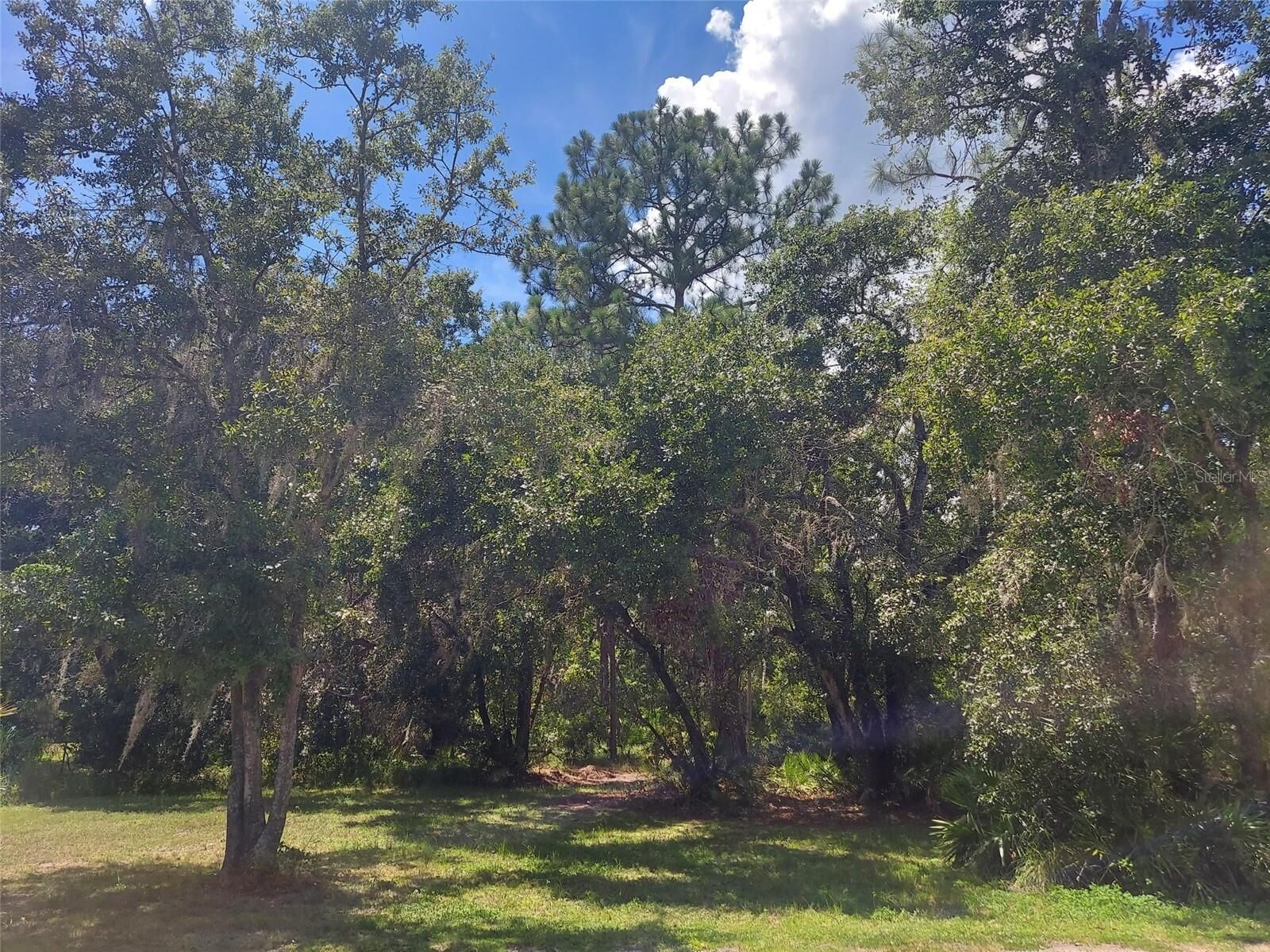 Property Photo:  0 Finally Road  FL 33565 