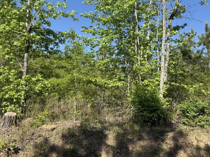 Property Photo:  8087 Sandhill Road  GA 30820 