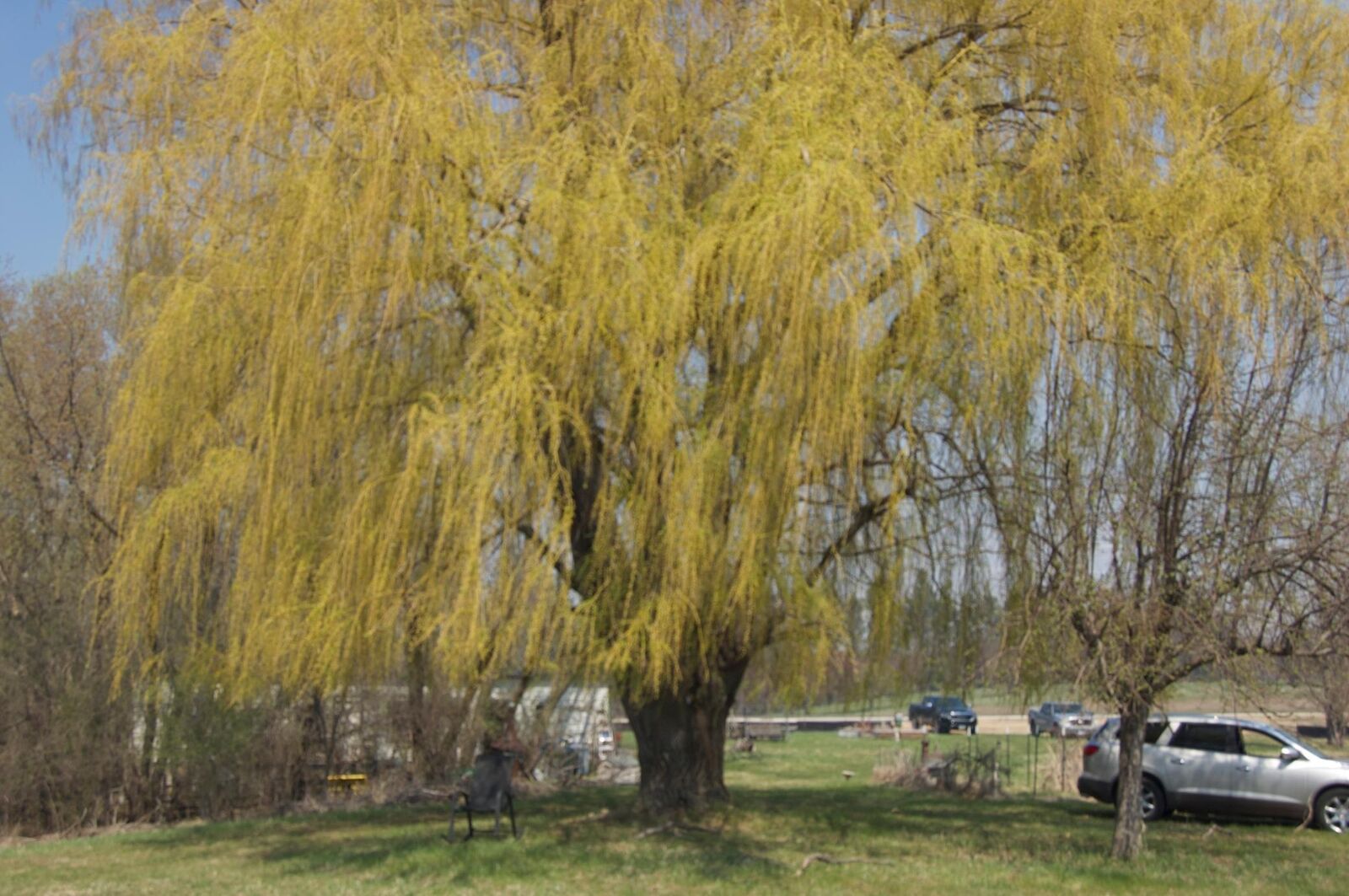 Property Photo:  621 Lyman Boulevard  MN 55318 