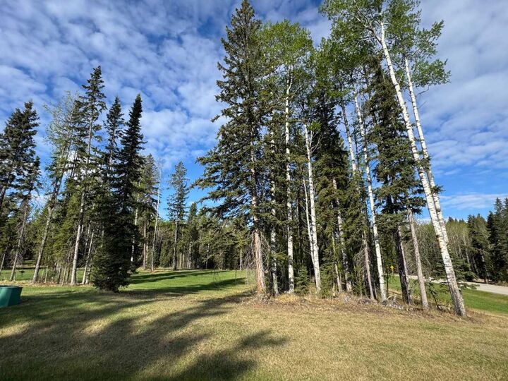 Property Photo: 153 Meadow Ponds Drive AB T4T 1A7