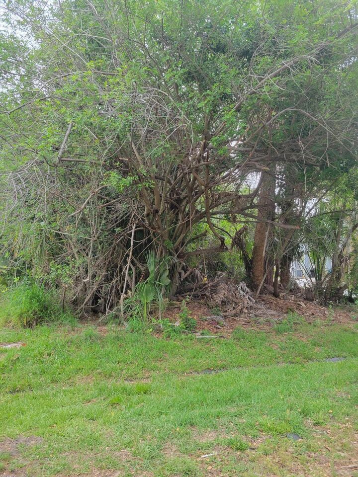 Property Photo:  1109 SW Abingdon Avenue S  FL 34953 