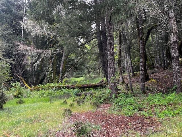 Property Photo:  24403 Cypress Drive  CA 95490 