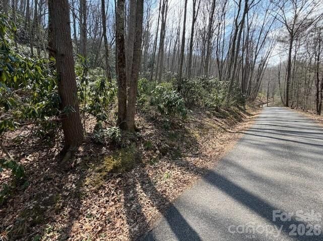 Property Photo:  Tbd Coyote Hollow Road 66  NC 28785 