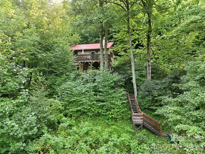 Property Photo:  959 Plott Balsam Road  NC 28751 