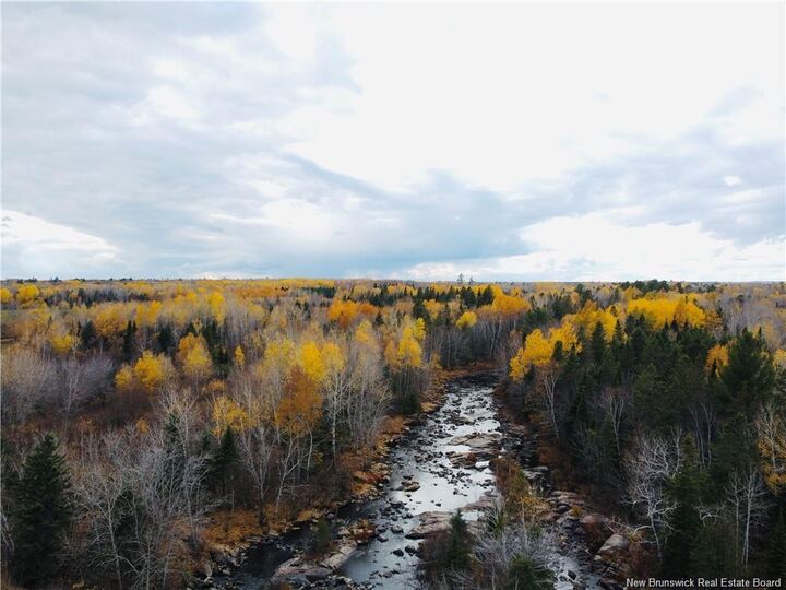 243 Acres Little River Road — photo 1
