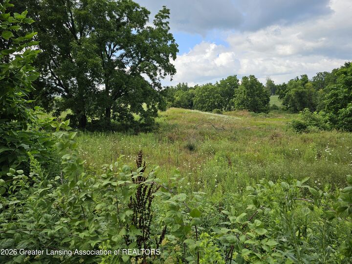 Property Photo:  8475 Ross Road  MI 48860 