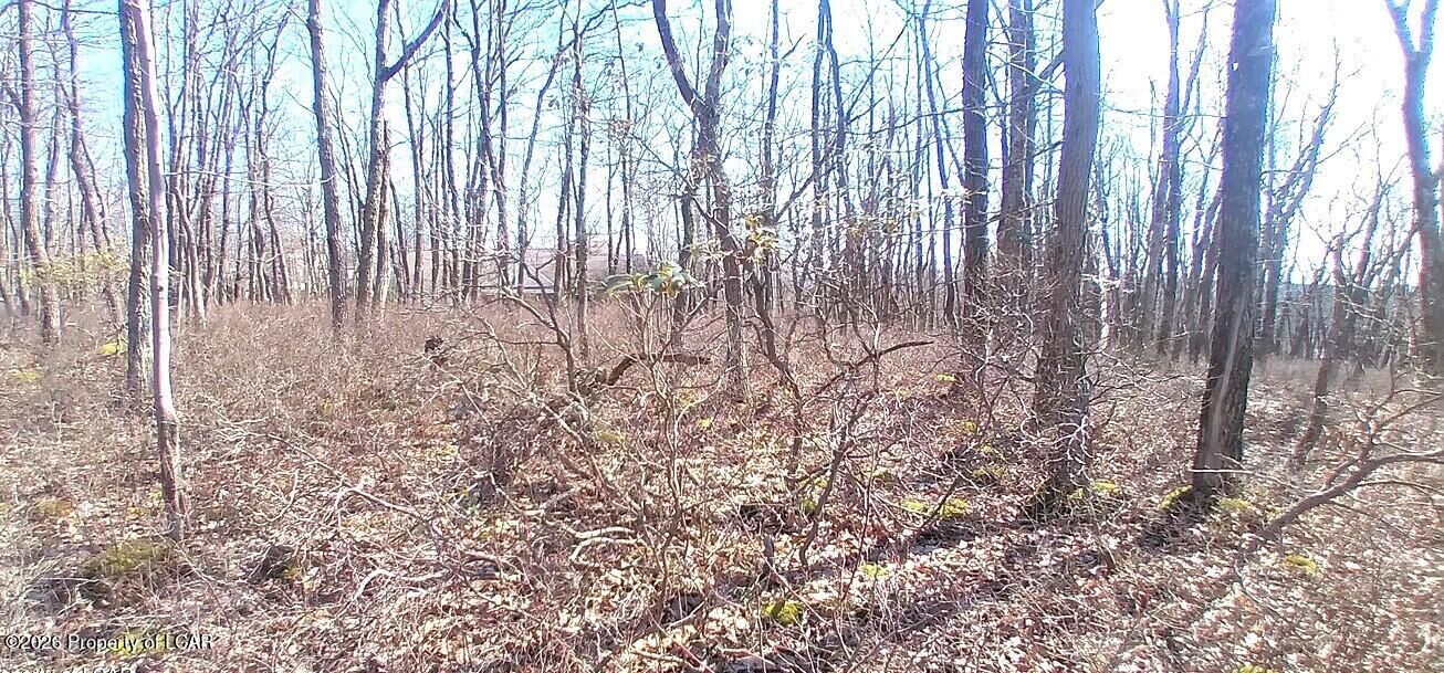 Property Photo: Ws Lot 397 Horseshoe Drive PA 18202