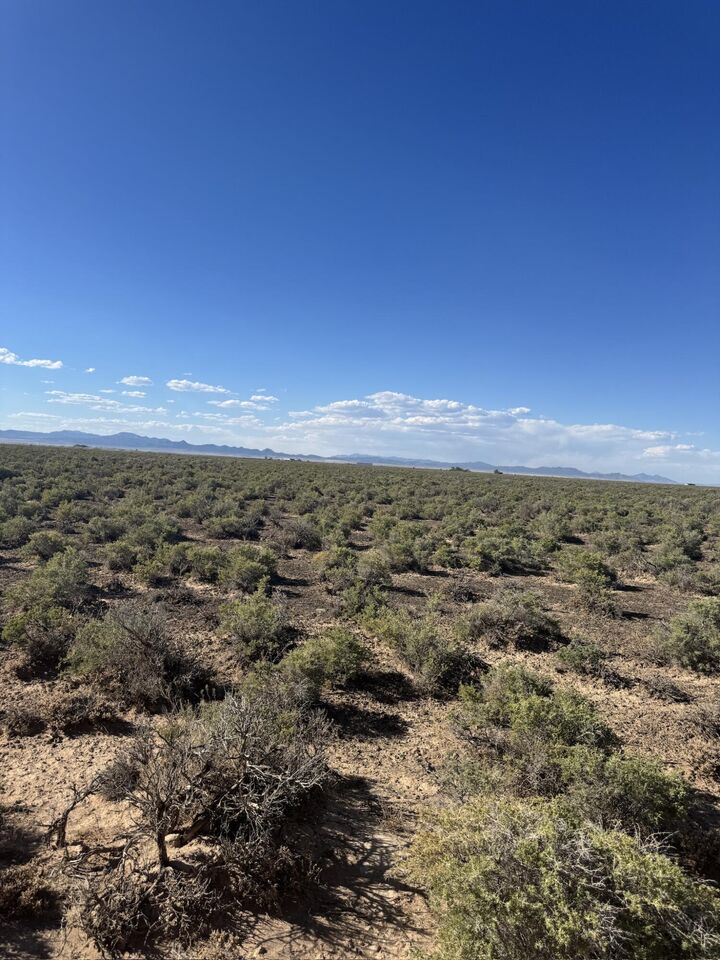 Property Photo:  40 Acres (E-1370-0000-0000)  UT 84714 