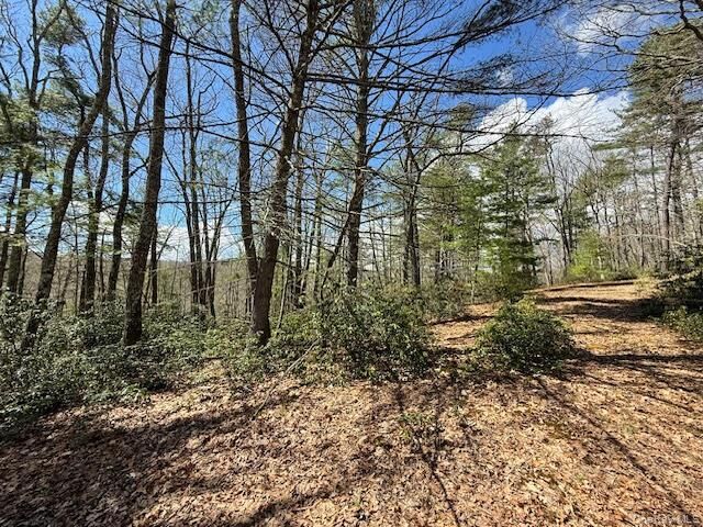 Property Photo: Lot 73.9 Pine Road NY 12737