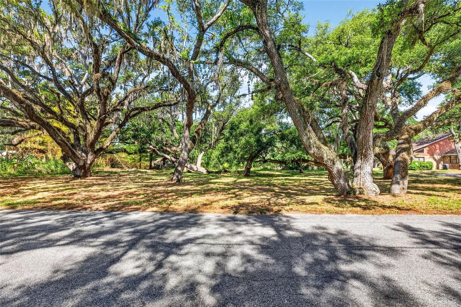 Property Photo:  5355 Bernadette Dr  FL 33541 