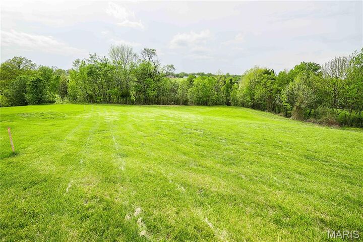Property Photo: 227 Willowbrook Bend MO 63701