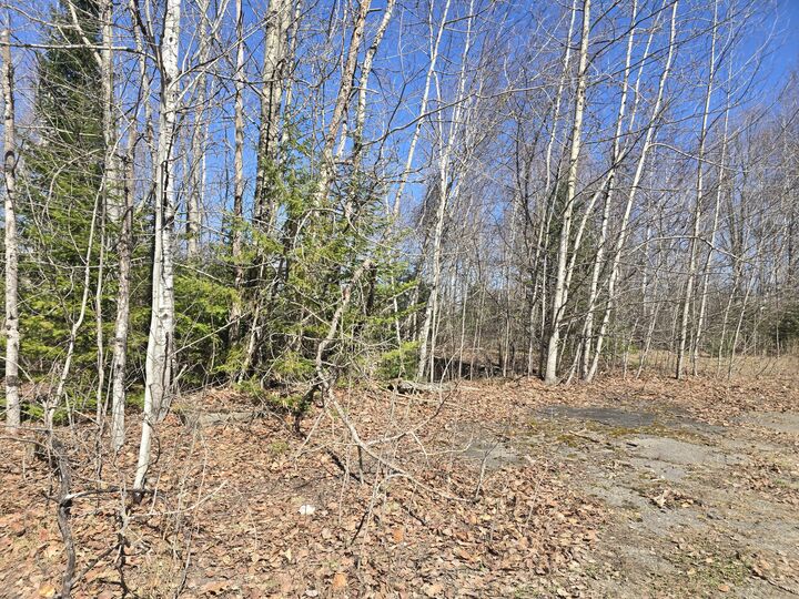 Property Photo:  436 Pattagumpus Road  ME 04460 