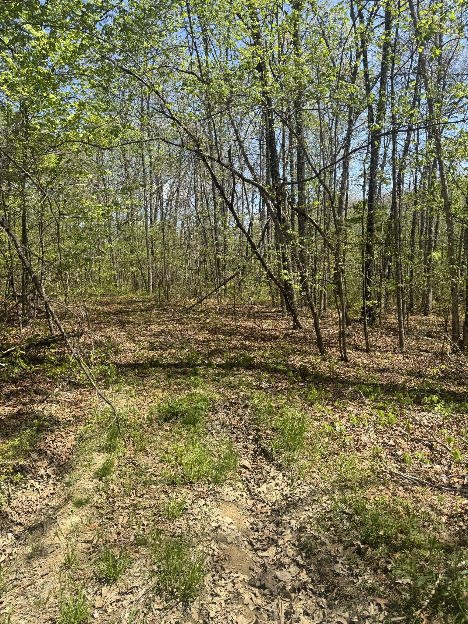 Property Photo:  0 Doe Creek Lake Dr  TN 38583 