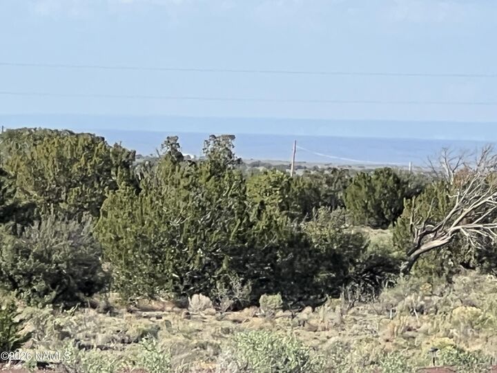Property Photo:  4800 Whitetail Loop  AZ 86046 