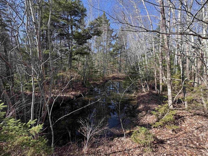 Property Photo:  Bennie Muckle - 30 Acres Road  NS B0N 2A0 
