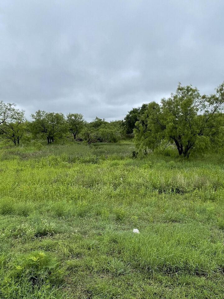 Property Photo:  541 Lake View Heroes Drive  TX 76903 