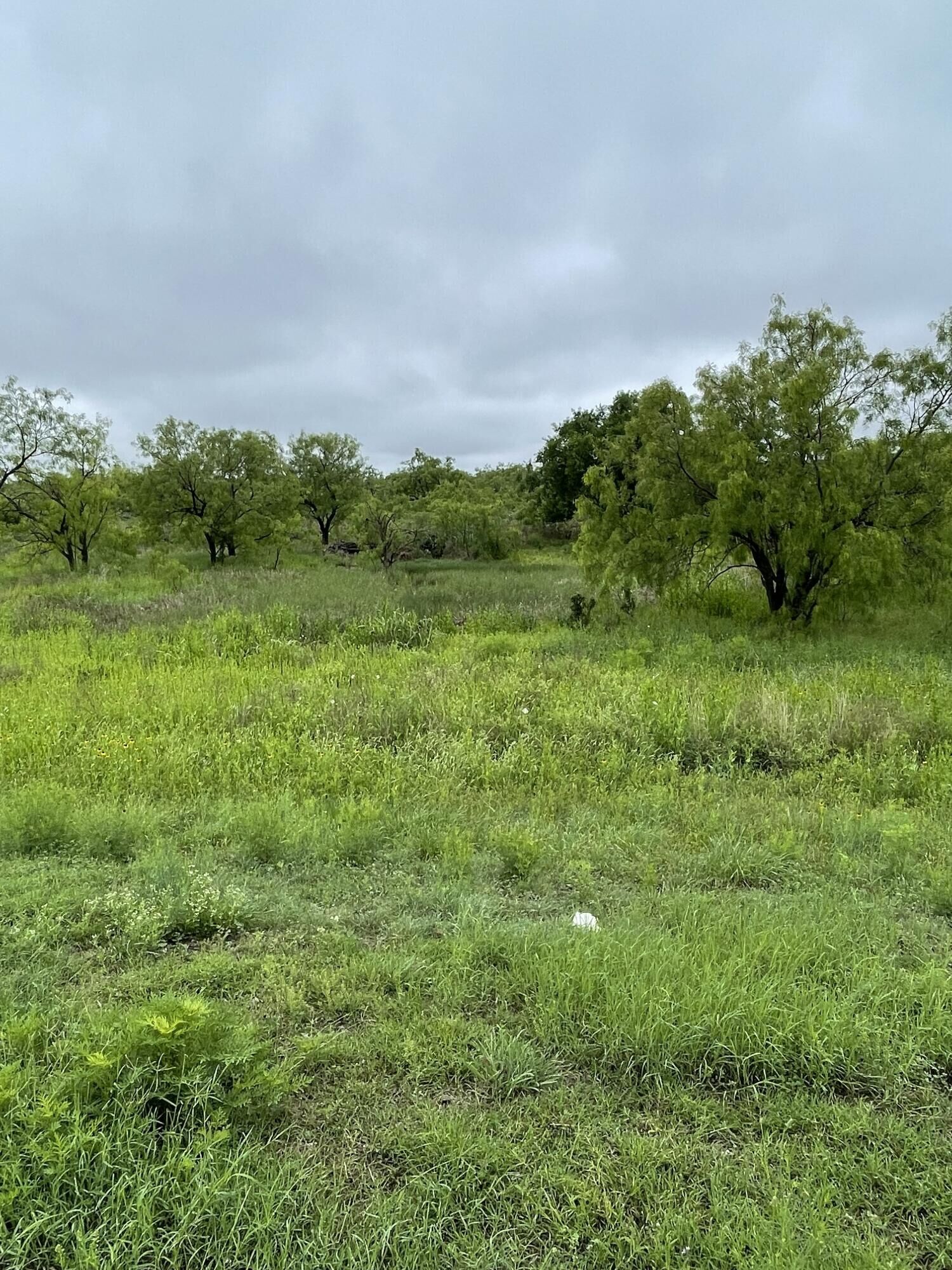 Property Photo:  549 Lake View Heroes Drive  TX 76903 