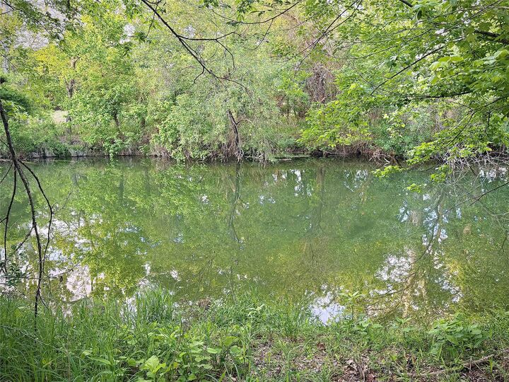 Property Photo:  113 Sandpiper Cove  TX 78633 