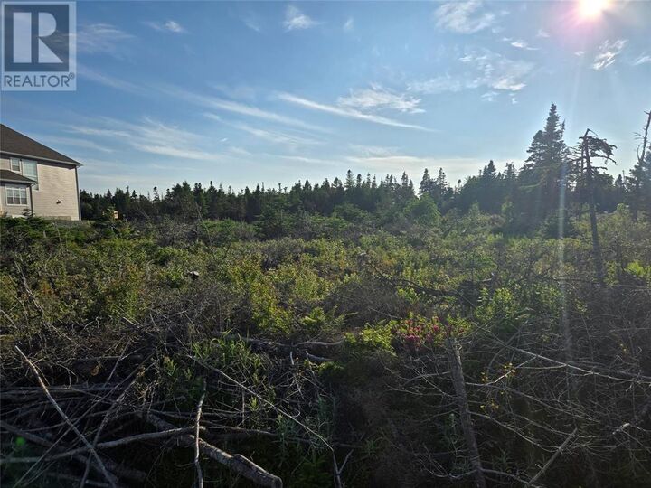 Property Photo:  Lot 5 Edgewater Lane  NL A1K 0G9 