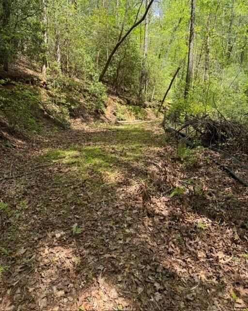 Property Photo:  348 Hemlock Trail  GA 30540 