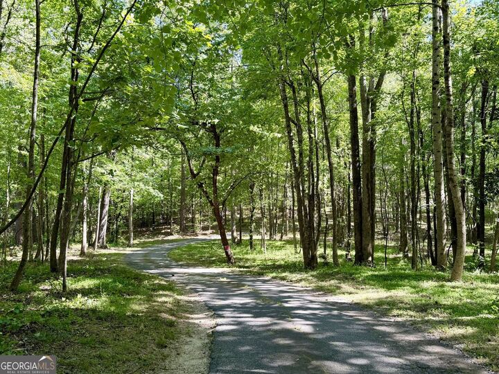 Property Photo:  7300 Rivertown Road  GA 30213 