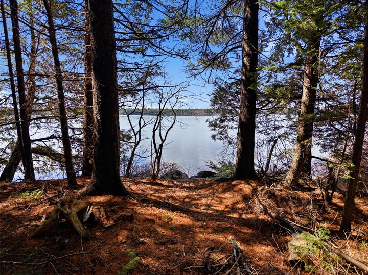 Property Photo:  20 Moose Trail  ME 04605 