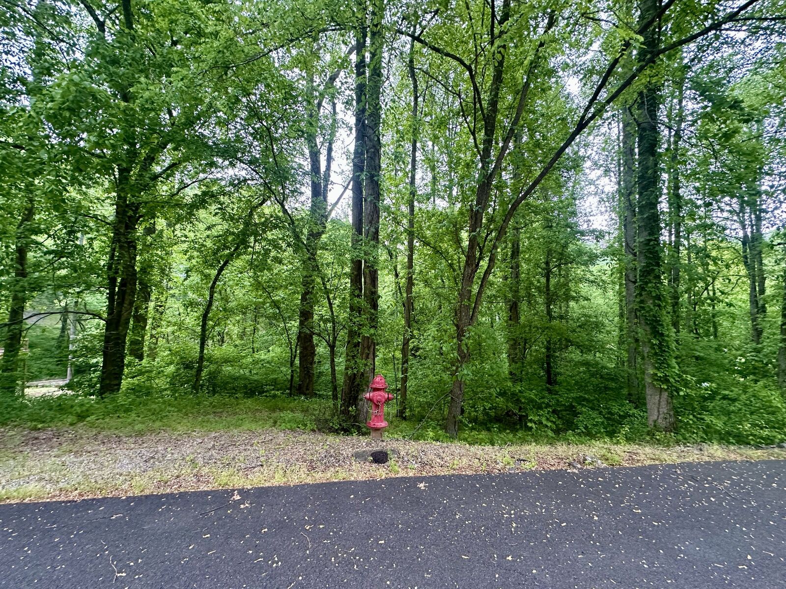 Property Photo:  0 Baymont Dr  TN 38569 