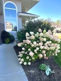 Property Photo:  6022 Obrien Lake Crescent  AB T8W 0H5 