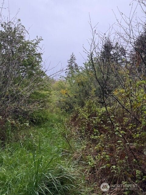 Property Photo:  1 Nka  30th Street  WA 98368 
