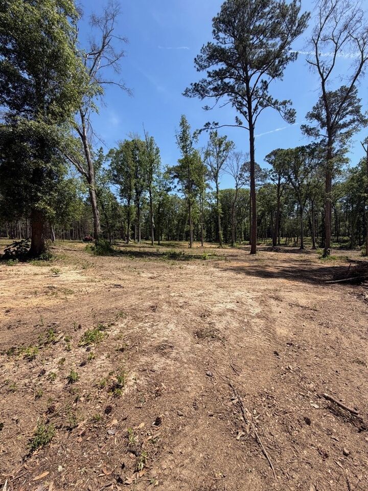 Property Photo:  12 Acres Collins Road  GA 39828 