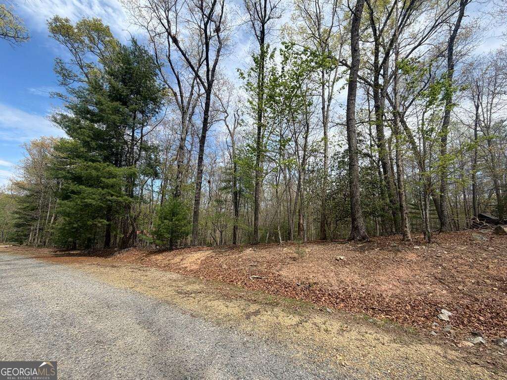 Property Photo:  # 2 Amber Way  GA 30560 