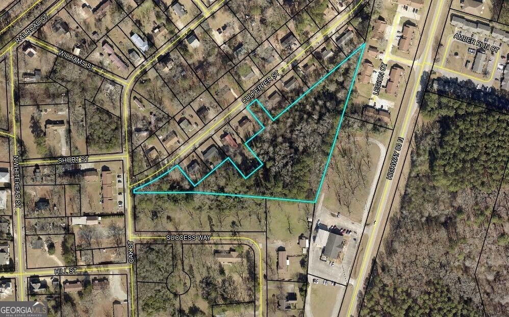 Property Photo:  207 Culpepper Street  GA 30828 