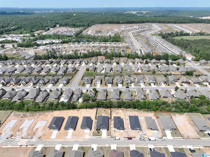 Property Photo: 2106 Turquoise Lane AL 35040